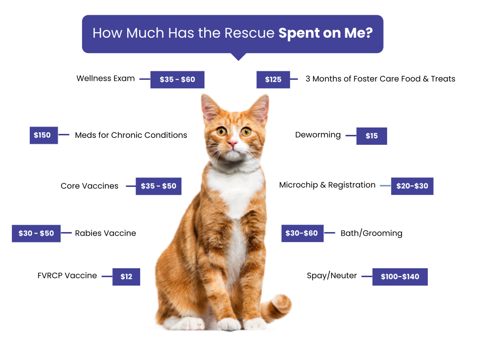 Heavenly Paws Shelter Fee Graphic