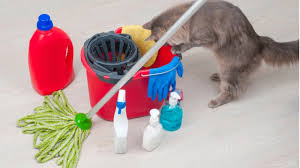 images7